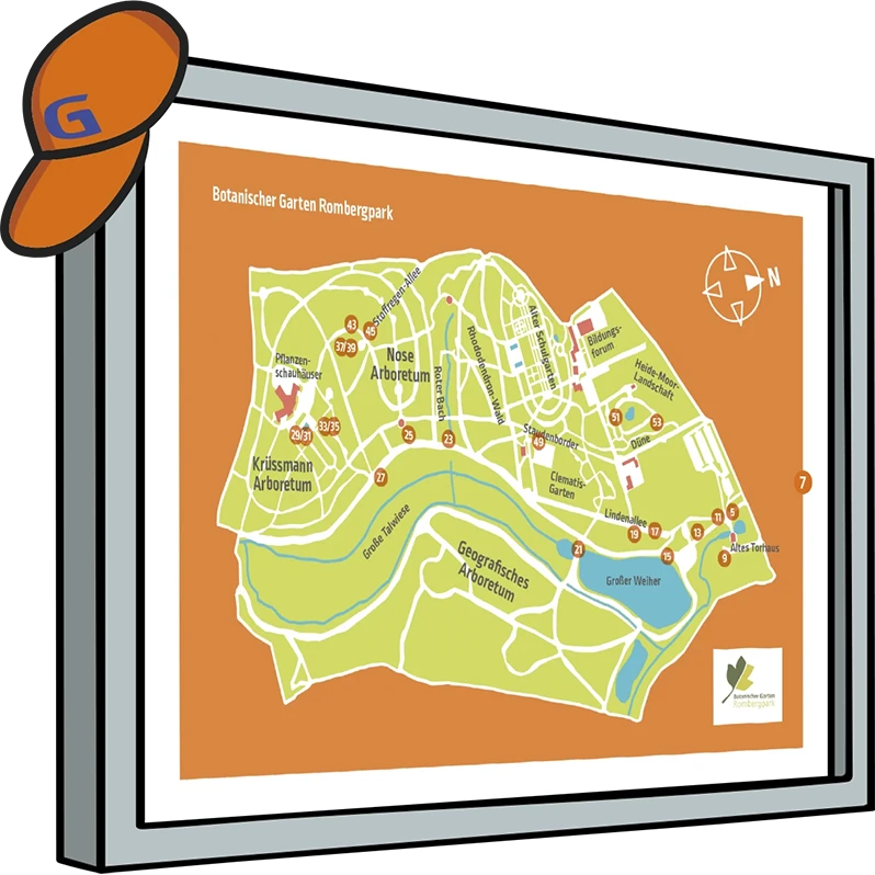 Parkplan mit Gisberts Stationen im Rombergpark.